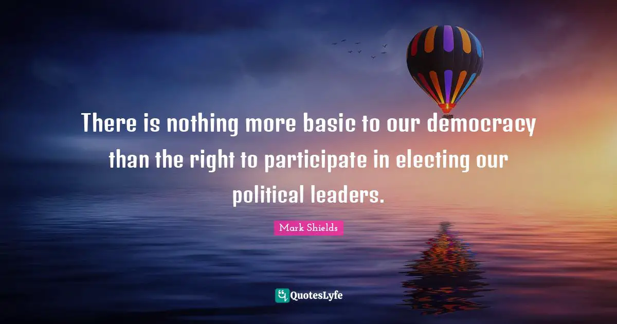 There is nothing more basic to our democracy than the right to participate in electing our political leaders.