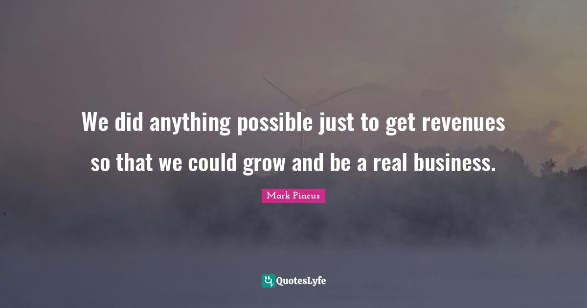 We did anything possible just to get revenues so that we could grow and be a real business.