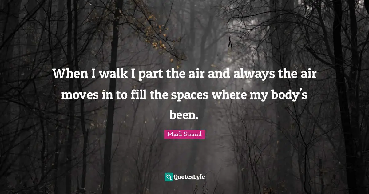 When I walk I part the air and always the air moves in to fill the spaces where my body's been.