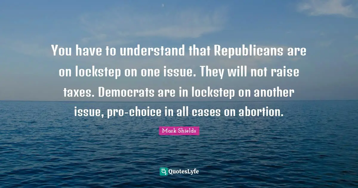 You have to understand that Republicans are on lockstep on one issue. They will not raise taxes. Democrats are in lockstep on another issue, pro-choice in all cases on abortion.