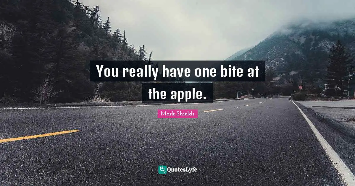 Mark Shields Quotes: "You really have one bite at the apple."