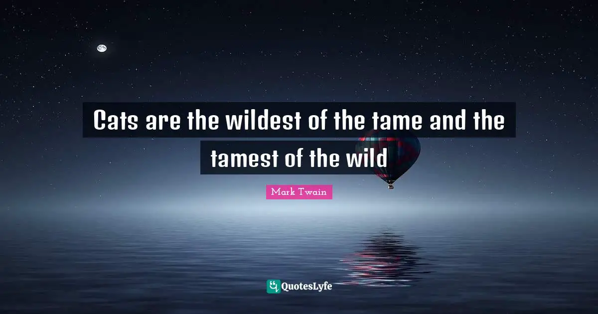 Cats are the wildest of the tame and the tamest of the wild
