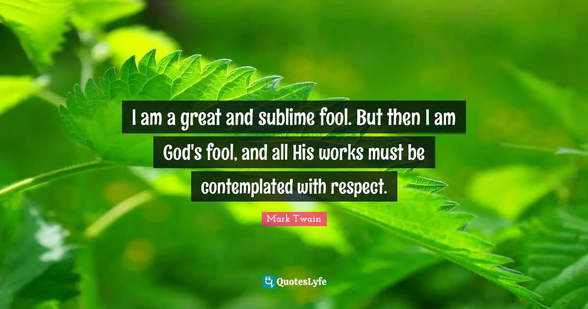 I am a great and sublime fool. But then I am God's fool, and all His works must be contemplated with respect.