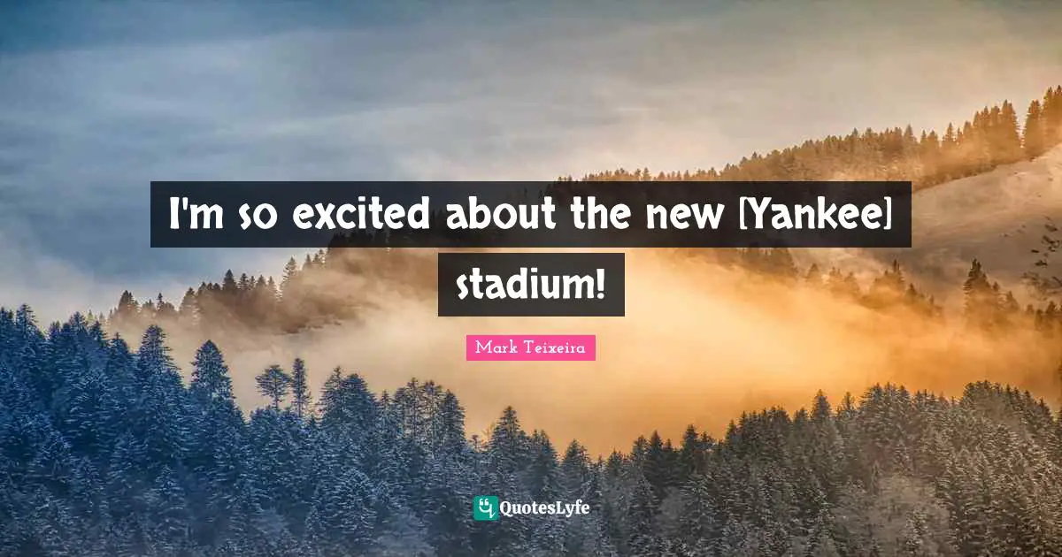 I'm so excited about the new [Yankee] stadium!