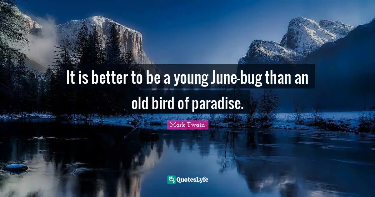 June Quotes: "It is better to be a young June-bug than an old bird of paradise."