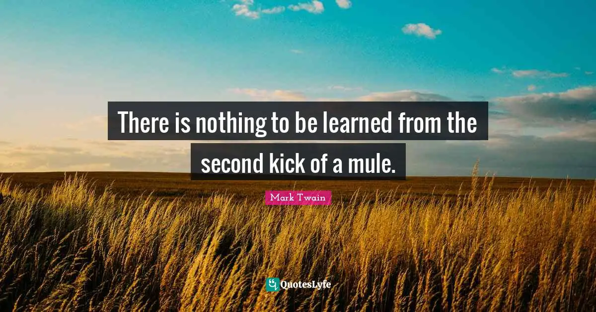 There is nothing to be learned from the second kick of a mule.