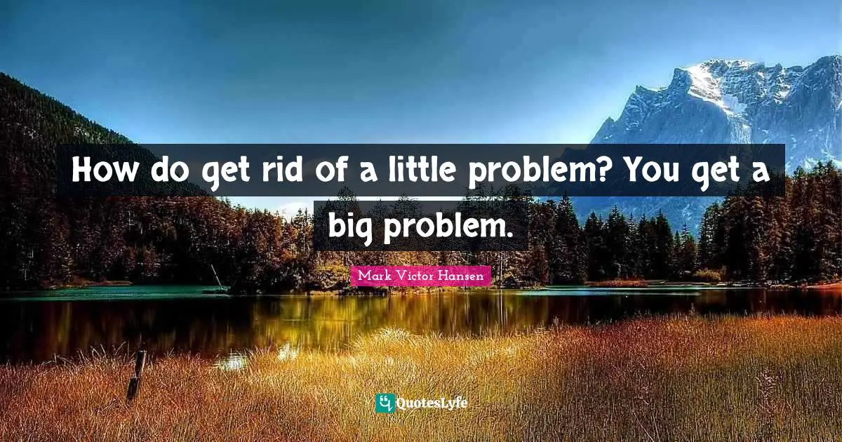 How do get rid of a little problem? You get a big problem.