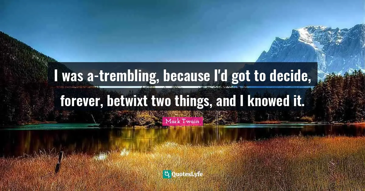 I was a-trembling, because I'd got to decide, forever, betwixt two things, and I knowed it.