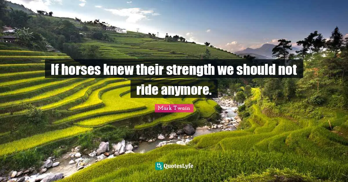If horses knew their strength we should not ride anymore.