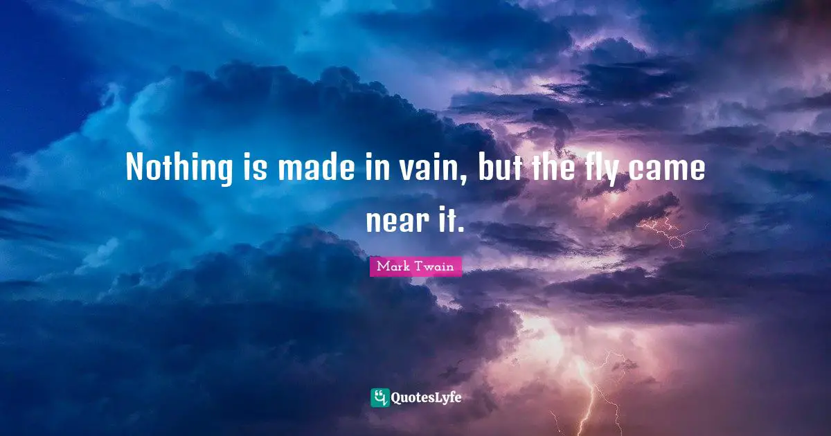 Nothing is made in vain, but the fly came near it.