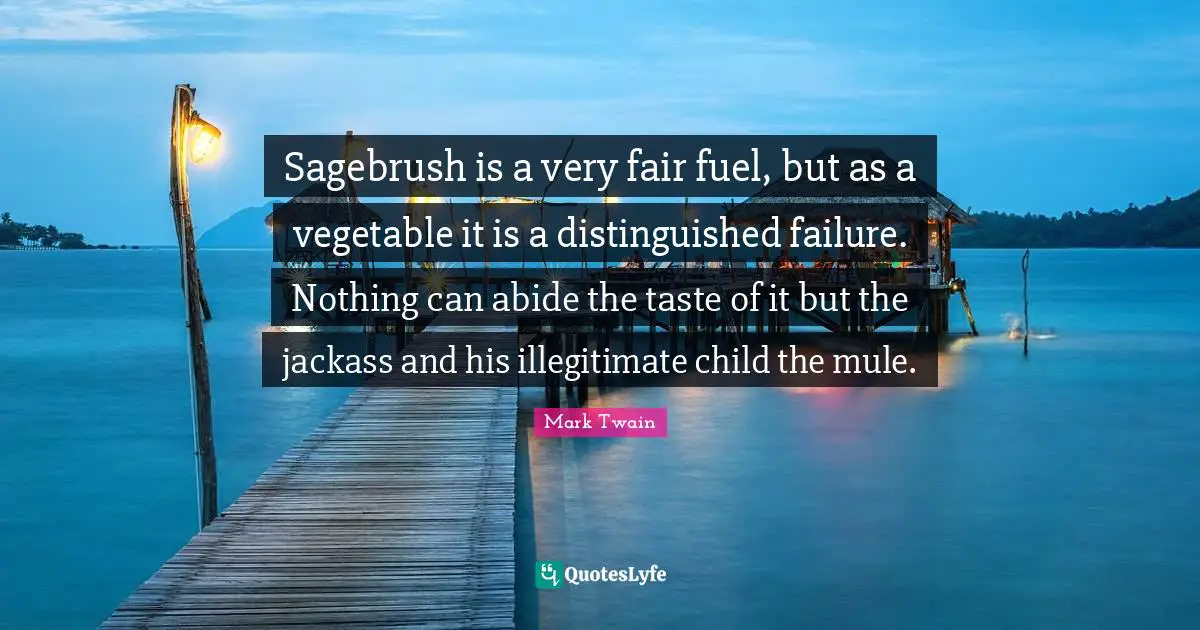 Sagebrush is a very fair fuel, but as a vegetable it is a distinguished failure. Nothing can abide the taste of it but the jackass and his illegitimate child the mule.