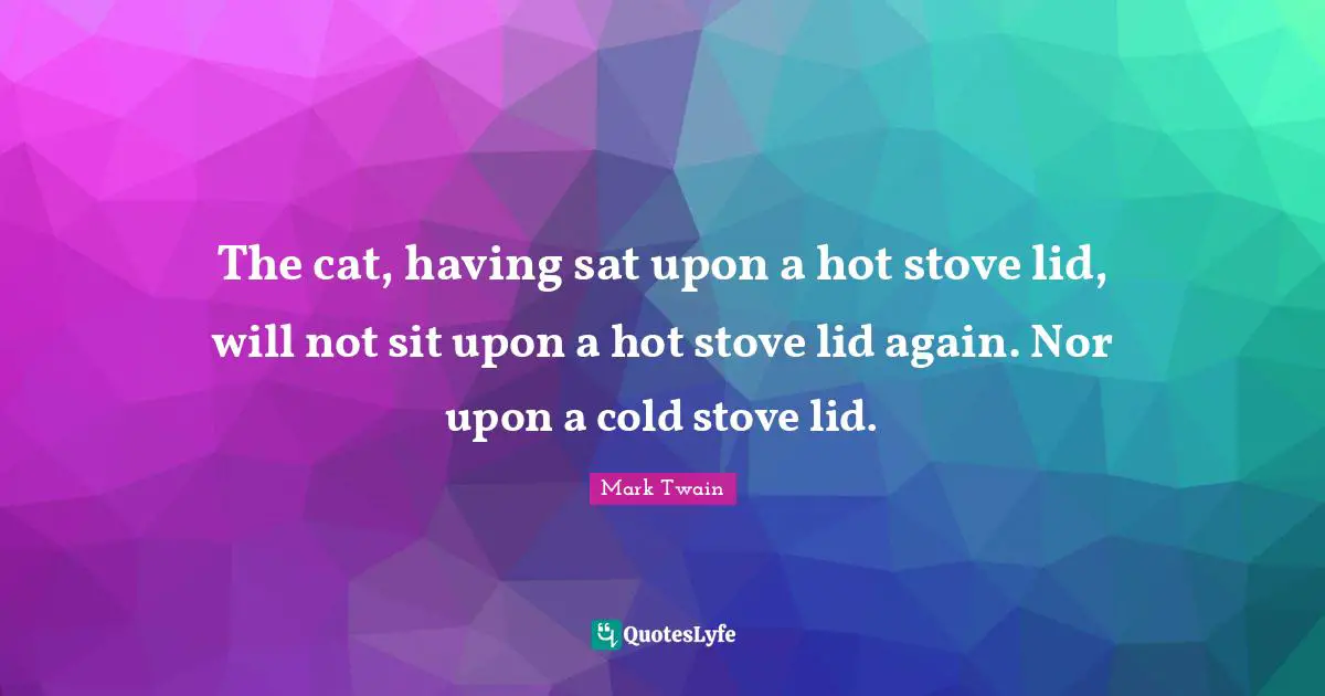 The cat, having sat upon a hot stove lid, will not sit upon a hot stove lid again. Nor upon a cold stove lid.