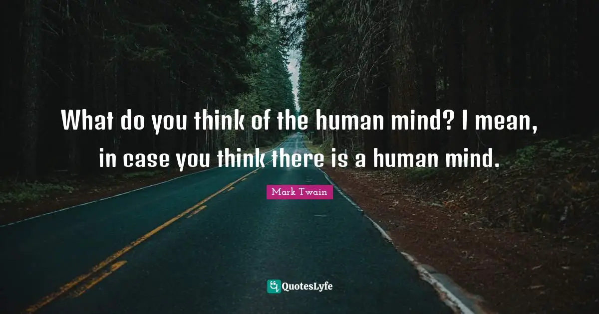 What do you think of the human mind? I mean, in case you think there is a human mind.