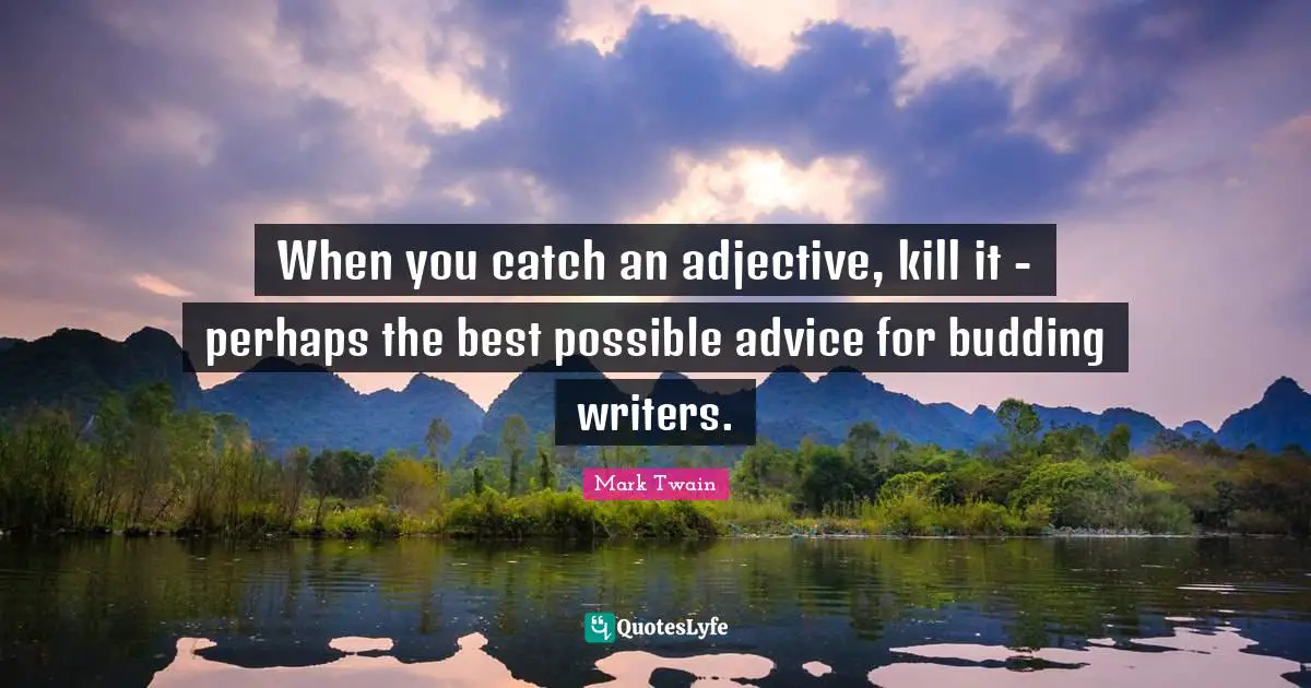 When you catch an adjective, kill it - perhaps the best possible advice for budding writers.