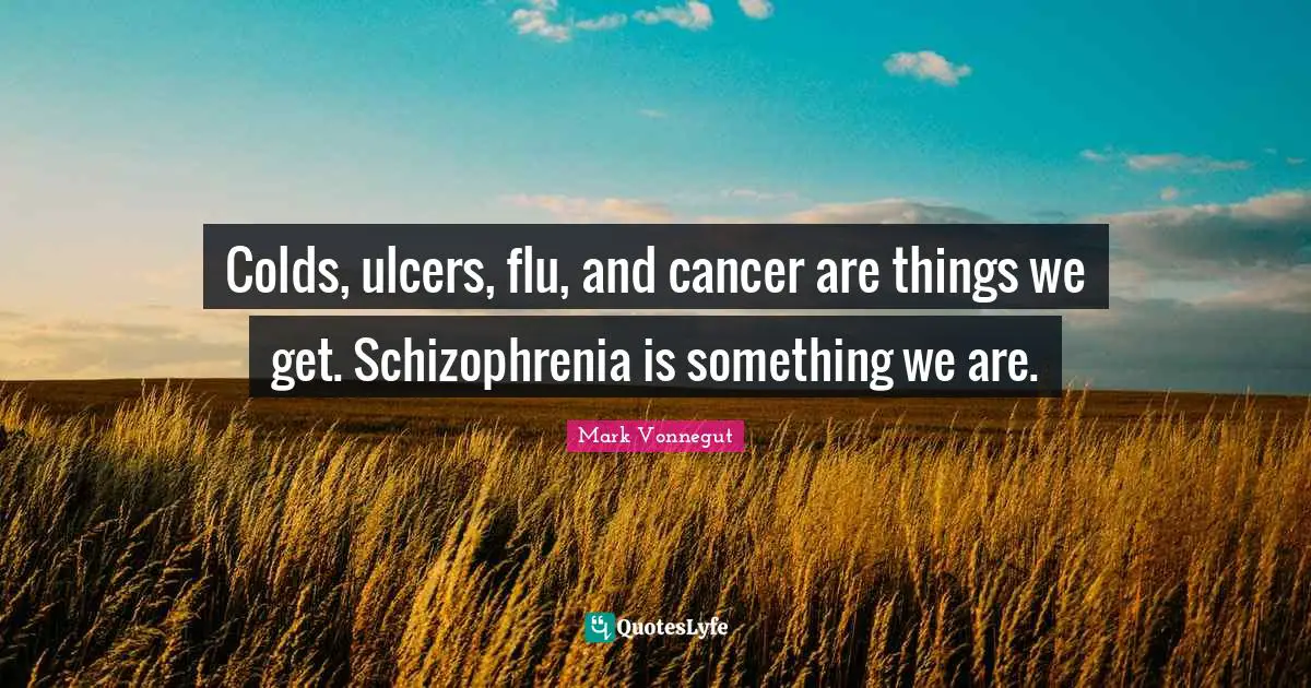 Colds, ulcers, flu, and cancer are things we get. Schizophrenia is something we are.