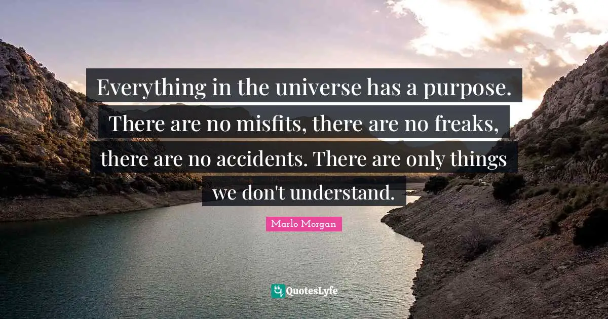 Everything in the universe has a purpose. There are no misfits, there are no freaks, there are no accidents. There are only things we don't understand.