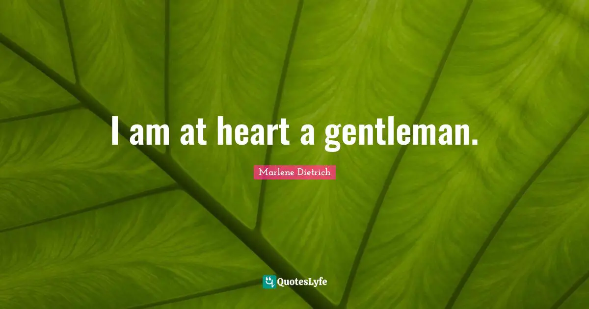 Marlene Dietrich Quotes: "I am at heart a gentleman."