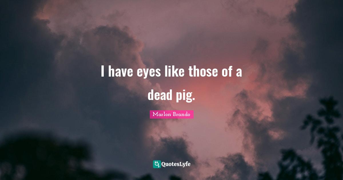 I have eyes like those of a dead pig.