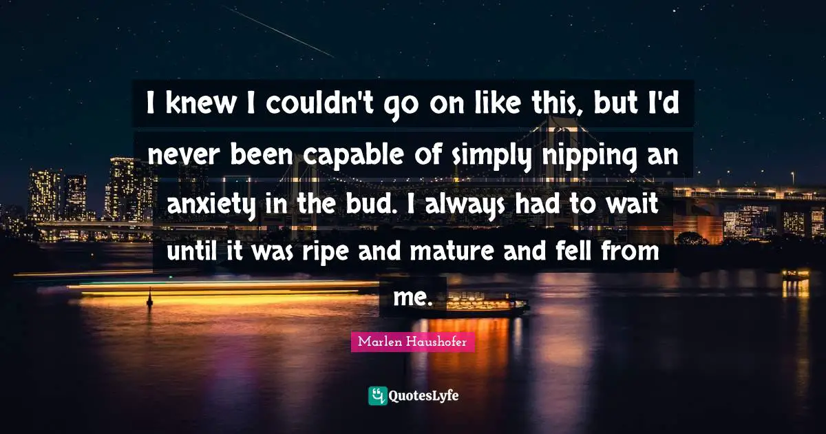 I knew I couldn't go on like this, but I'd never been capable of simply nipping an anxiety in the bud. I always had to wait until it was ripe and mature and fell from me.