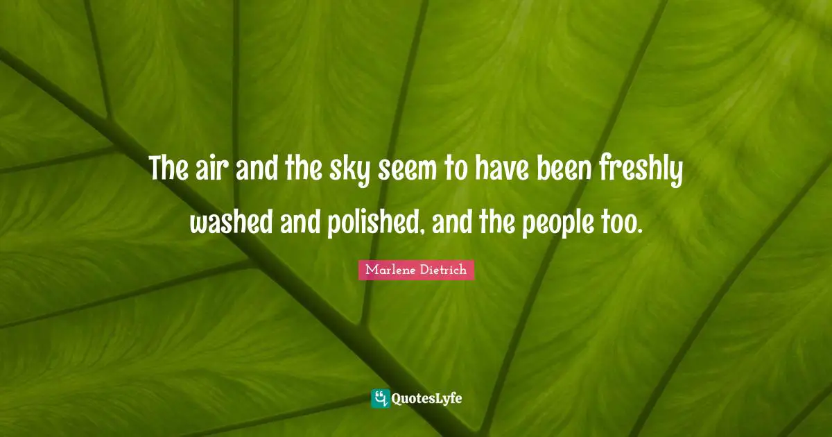 The air and the sky seem to have been freshly washed and polished, and the people too.