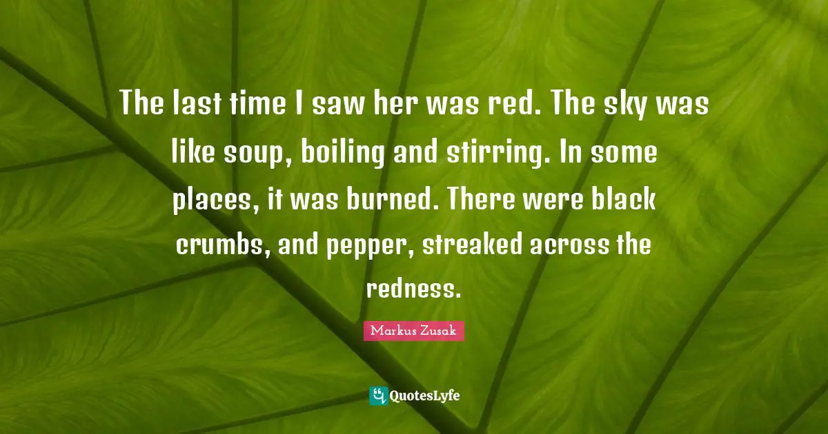 The last time I saw her was red. The sky was like soup, boiling and stirring. In some places, it was burned. There were black crumbs, and pepper, streaked across the redness.