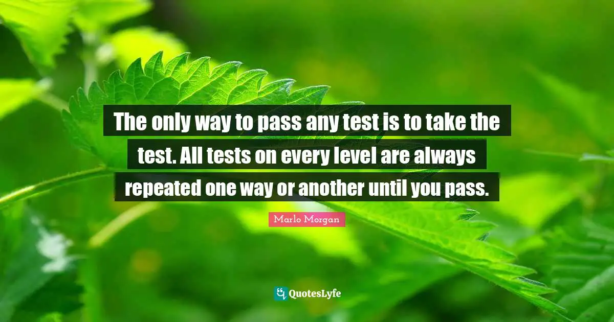 The only way to pass any test is to take the test. All tests on every level are always repeated one way or another until you pass.