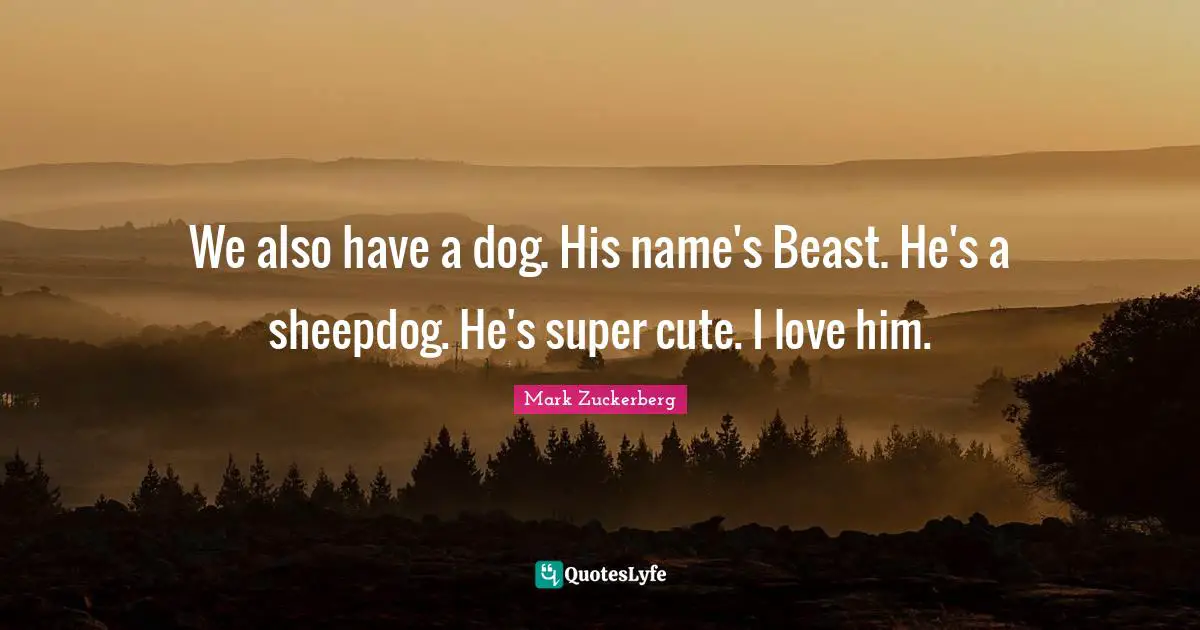 We also have a dog. His name's Beast. He's a sheepdog. He's super cute. I love him.