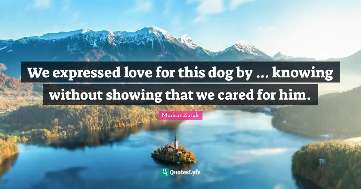 We expressed love for this dog by ... knowing without showing that we cared for him.