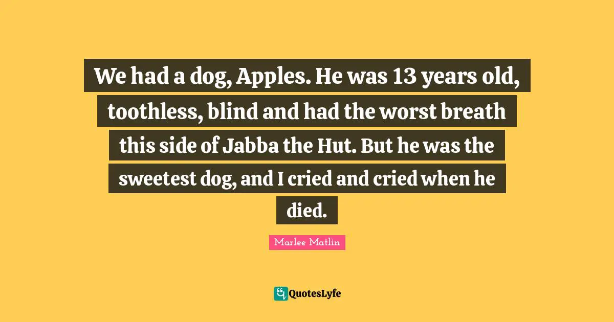 Marlee Matlin Quotes: "We had a dog, Apples. He was 13 years old, toothless, blind and had the worst breath this side of Jabba the Hut. But he was the sweetest dog, and I cried and cried when he died."