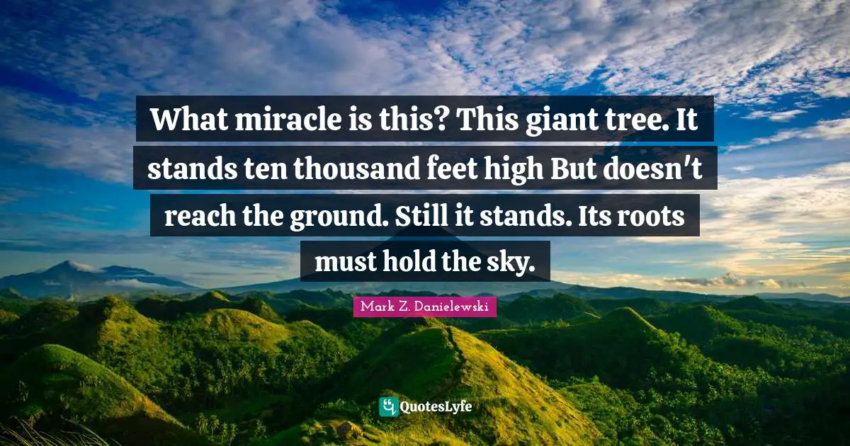 What miracle is this? This giant tree. It stands ten thousand feet high But doesn't reach the ground. Still it stands. Its roots must hold the sky.