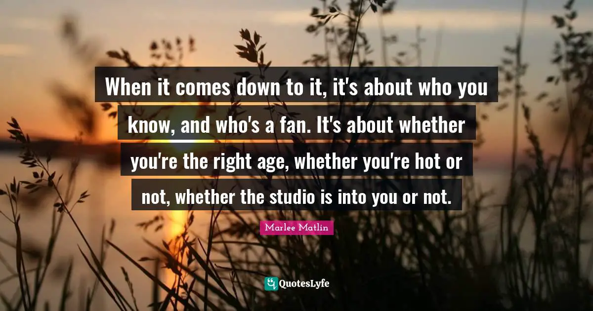Marlee Matlin Quotes: "When it comes down to it, it's about who you know, and who's a fan. It's about whether you're the right age, whether you're hot or not, whether the studio is into you or not."