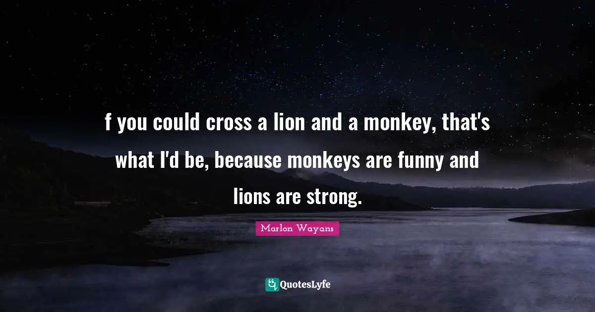 f you could cross a lion and a monkey, that's what I'd be, because monkeys are funny and lions are strong.