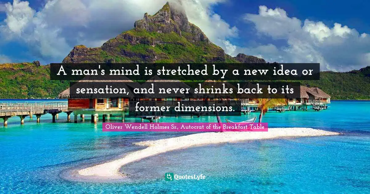 A man's mind is stretched by a new idea or sensation, and never shrinks back to its former dimensions.