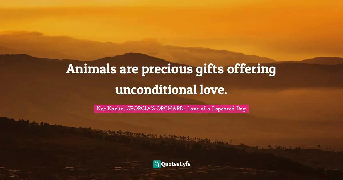 Animals are precious gifts offering unconditional love.