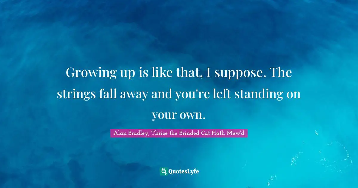 Growing up is like that, I suppose. The strings fall away and you're left standing on your own.