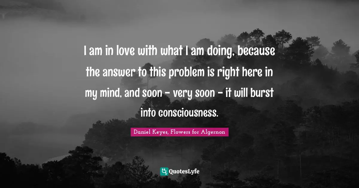 I am in love with what I am doing, because the answer to this problem is right here in my mind, and soon - very soon - it will burst into consciousness.