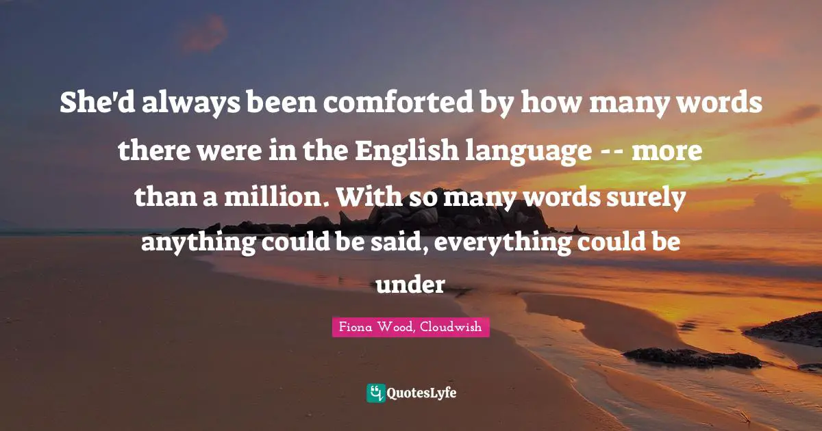 She'd always been comforted by how many words there were in the English language -- more than a million. With so many words surely anything could be said, everything could be under