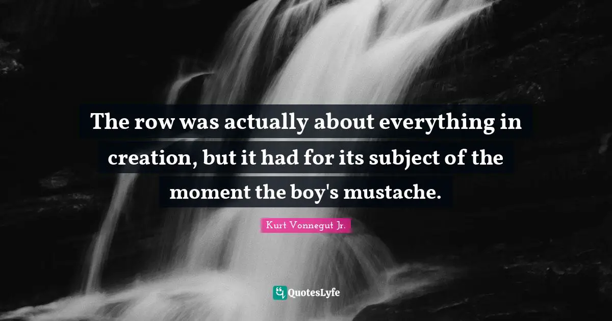The row was actually about everything in creation, but it had for its subject of the moment the boy's mustache.