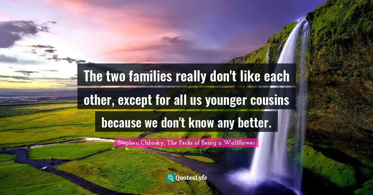 The two families really don't like each other, except for all us younger cousins because we don't know any better.