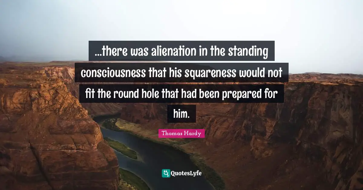 ...there was alienation in the standing consciousness that his squareness would not fit the round hole that had been prepared for him.