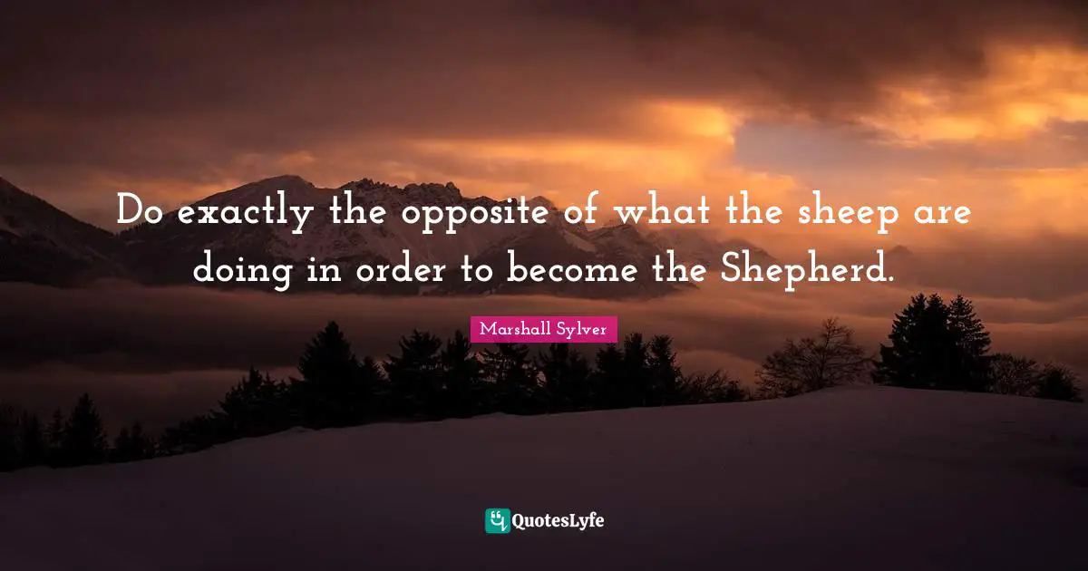 Do exactly the opposite of what the sheep are doing in order to become the Shepherd.