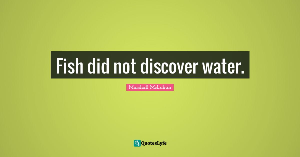 Fish did not discover water.
