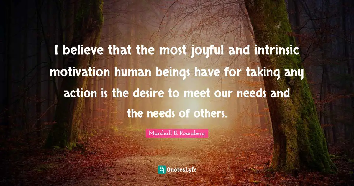 I believe that the most joyful and intrinsic motivation human beings have for taking any action is the desire to meet our needs and the needs of others.
