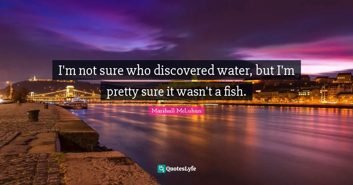 I'm not sure who discovered water, but I'm pretty sure it wasn't a fish.