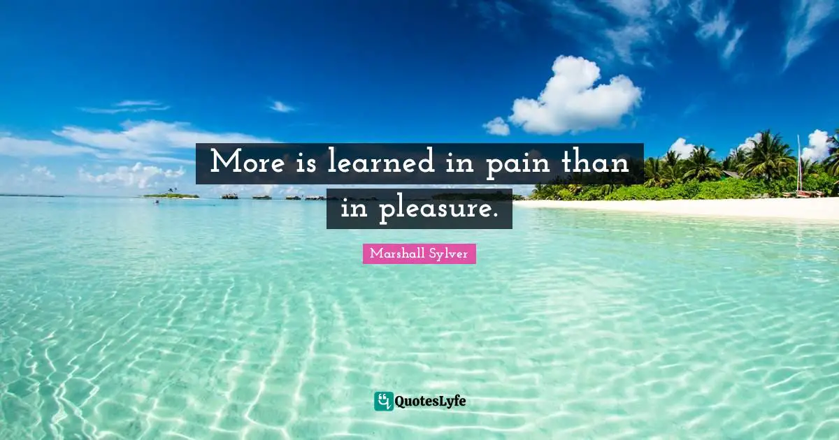 More is learned in pain than in pleasure.