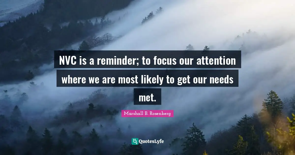 NVC is a reminder; to focus our attention where we are most likely to get our needs met.