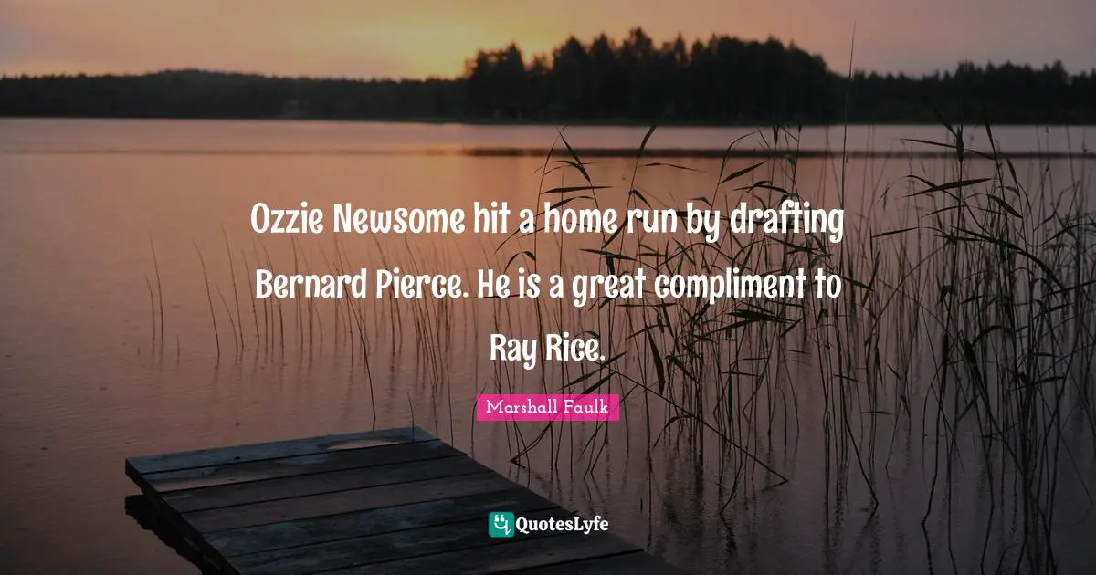 Ozzie Newsome hit a home run by drafting Bernard Pierce. He is a great compliment to Ray Rice.