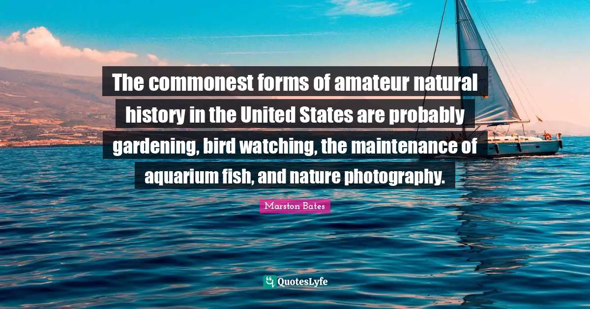 The commonest forms of amateur natural history in the United States are probably gardening, bird watching, the maintenance of aquarium fish, and nature photography.