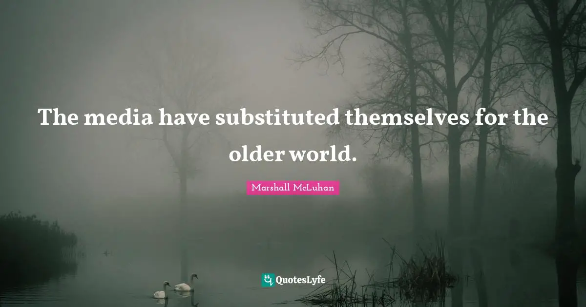 The media have substituted themselves for the older world.