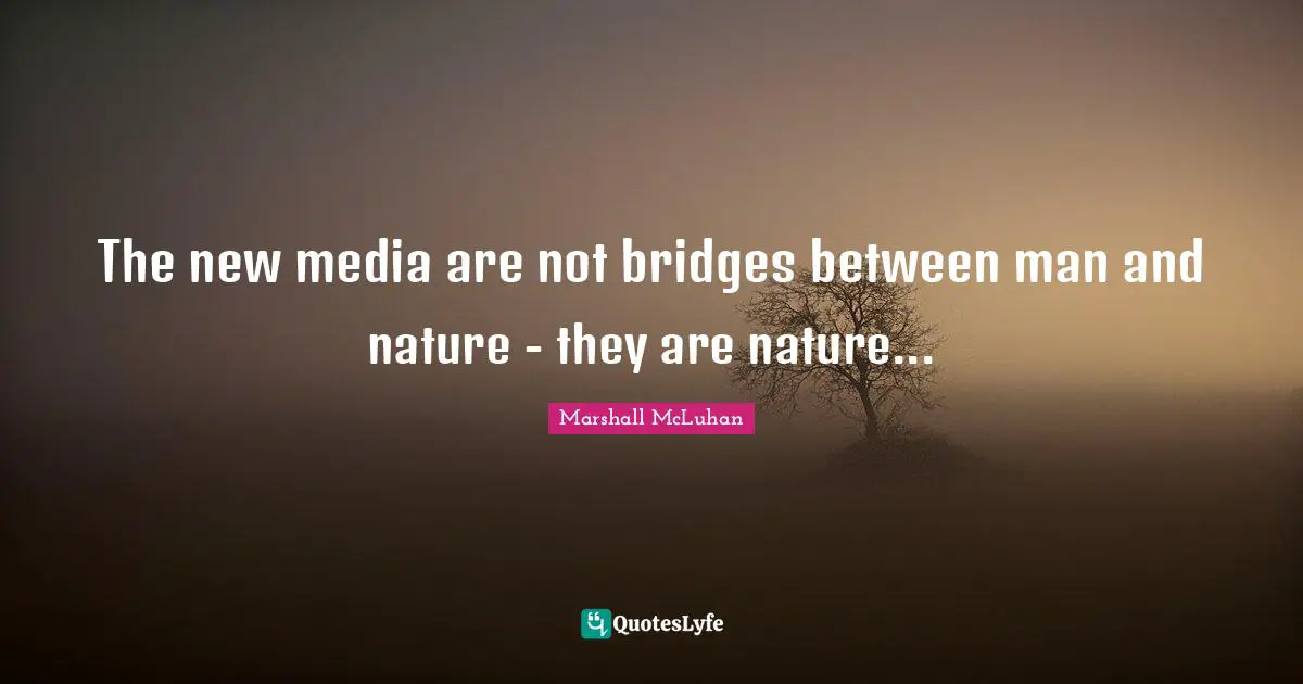 The new media are not bridges between man and nature - they are nature...